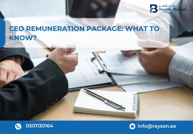 CEO Remuneration Package