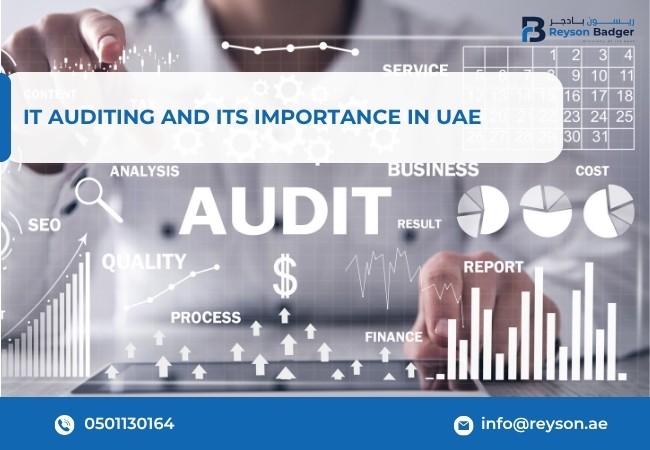 IT Auditing