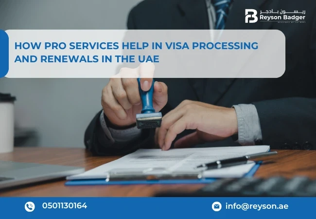 Outsourced PRO Services