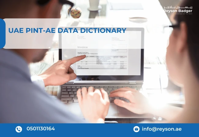 UAE PINT-AE Data Dictionary