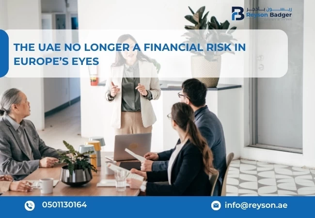 financial risk in UAE