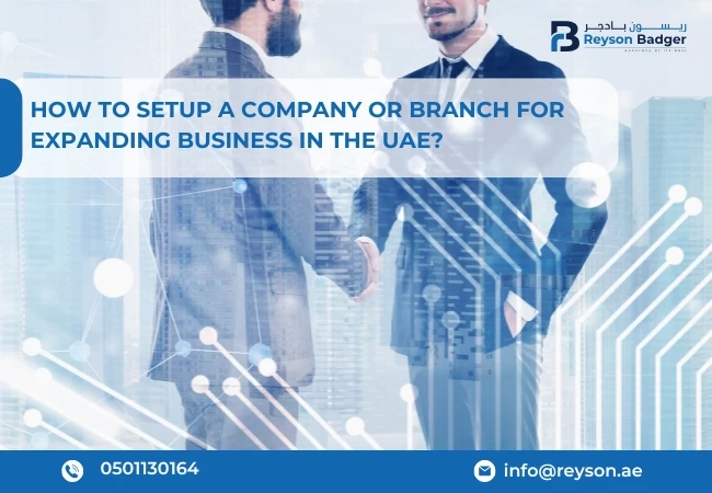 Company and Branch Formation Services